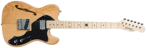 גיטרה חשמלית Budagov Thinline