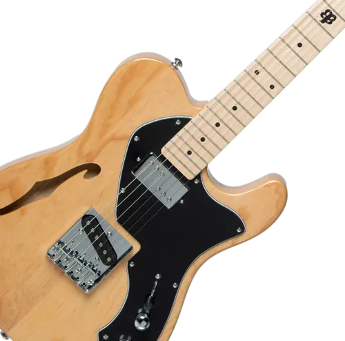 גיטרה חשמלית Budagov Thinline