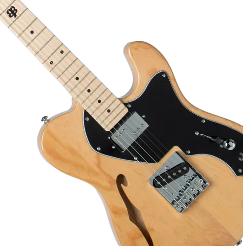 גיטרה חשמלית Budagov Thinline