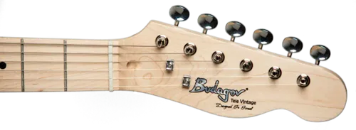 גיטרה חשמלית Budagov Thinline