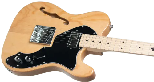 גיטרה חשמלית Budagov Thinline