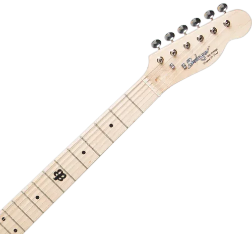 גיטרה חשמלית Budagov Thinline