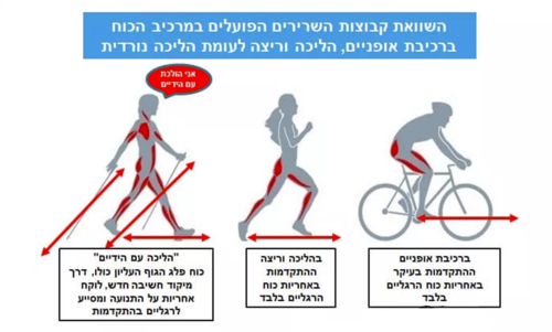 סט מקלות הליכה מתקפלים קלים - SOLA