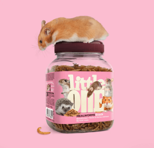 ליטל וואן חטיף תולעי ארץ למכרסמים 70 גרם | LITTLE ONE Mealworms Snack – Rodents