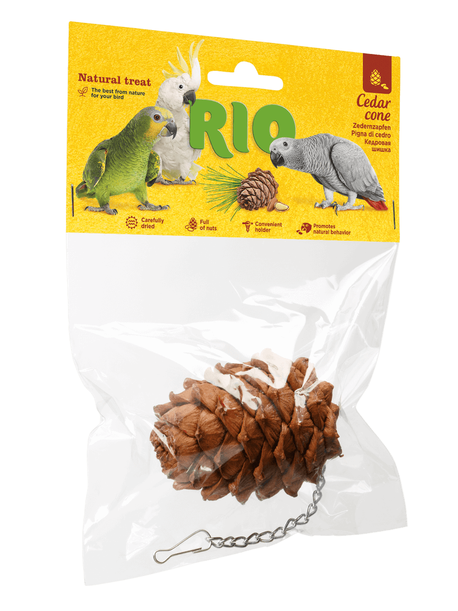 ריו אצטרובל חרוט ארז לציפורים – פינוק טבעי | RIO Cedar Cone Treat – Birds