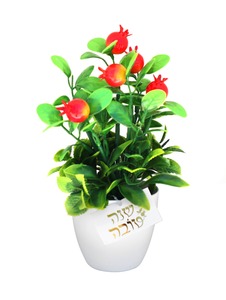 עציץ רימונים עם כרטיס שנה טובה זהב