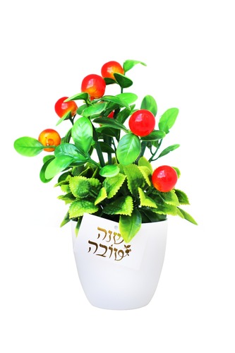 עציץ תפוחים עם כרטיס שנה טובה זהב