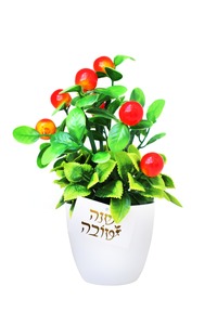 עציץ תפוחים עם כרטיס שנה טובה זהב