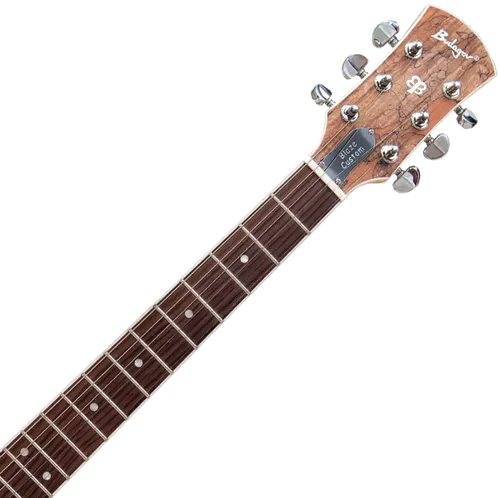 גיטרה חשמלית Budagov Blaze Custom-SPM