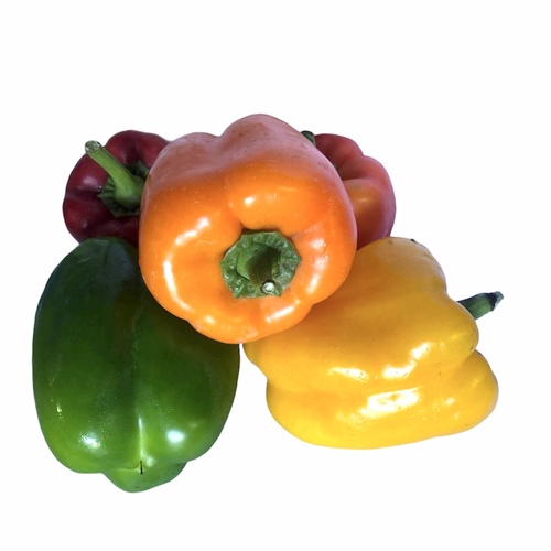  פלפלים לבישול והקפצה  מבחר צבעים 