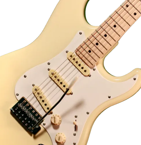 גיטרה חשמלית בודגוב Budagov Strat MasterM-IV
