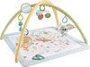 שמיכת פעילות החושים הראשונים לרך הנולד FISHER PRICE