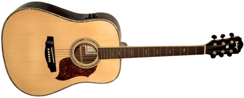 גיטרה אקוסטית מוגברת פישמן Budagov Artist-EQ