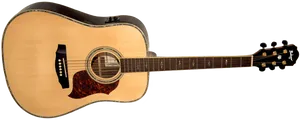  גיטרה אקוסטית מוגברת פישמן Budagov Artist-EQ