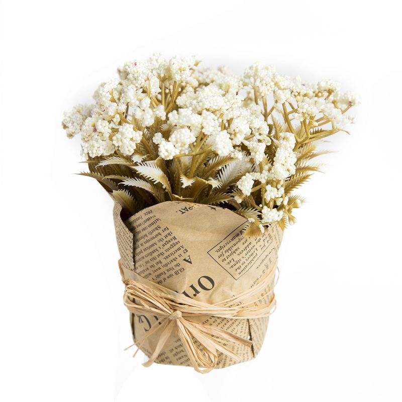 עציץ שולחני למשרד - מתנה לעובד חדש