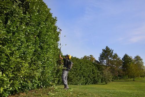 מגזמת גובה נטענת PH 900e גוף בלבד סטיגה 