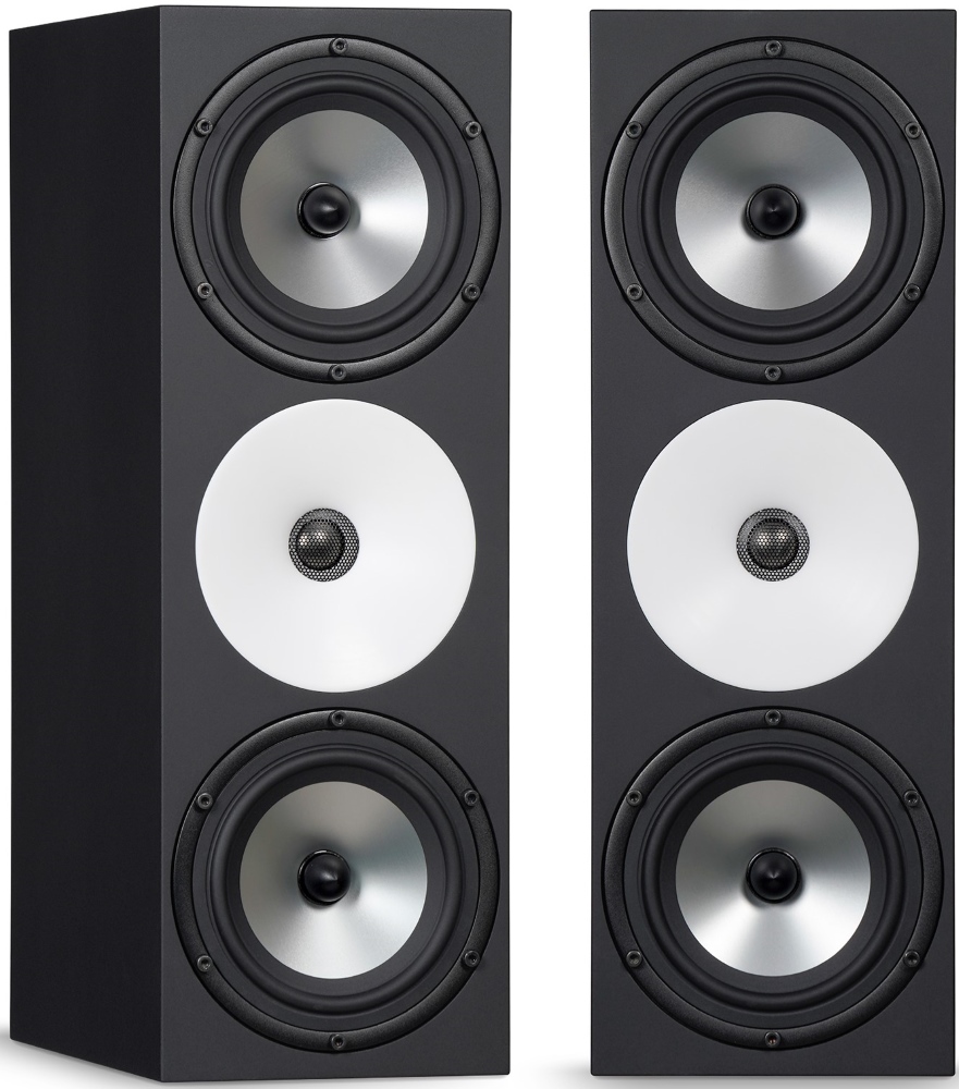 מוניטור פאסיבי Amphion Two18X
