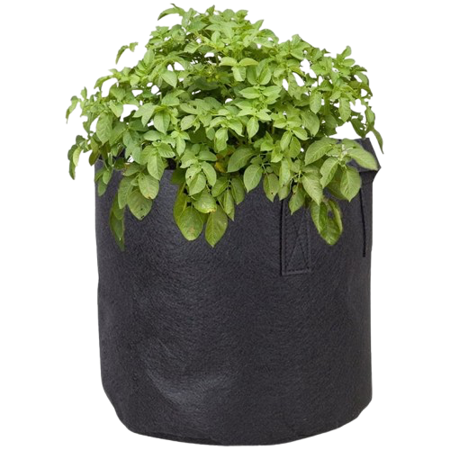 שק בד לגידול צמחים/לאחסון ירקות במקרר (7.6 ליטר)