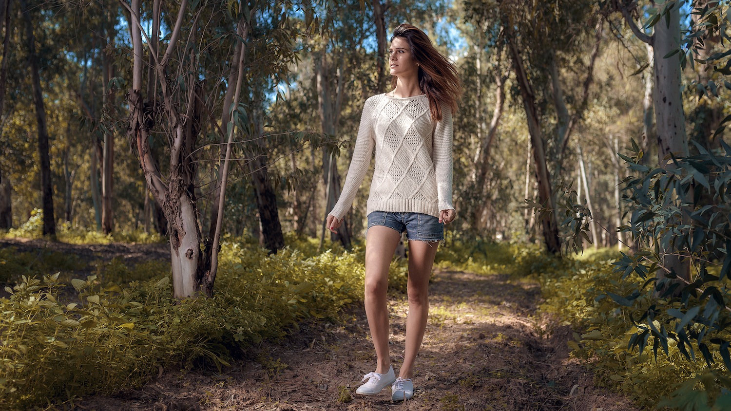 Godox Flash For Sony