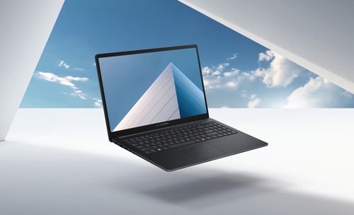 Asus ExpertBook B1 B1503CVA-S72159