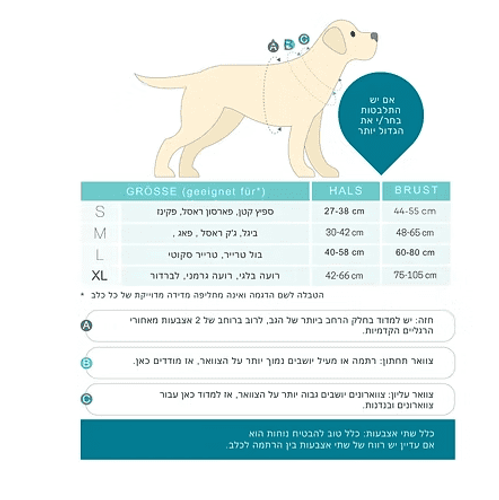 Max & Molly Matrix 2.0 – רתמת ספורט טורקיז לכלבים