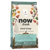 נאו גוד גרייבי גזע קטן סלמון 1.6 ק"ג Now Good Gravy