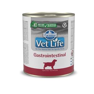 וטלייף שימורים גסטרו כלב 300 גרם Vet Life Gastrointestinal