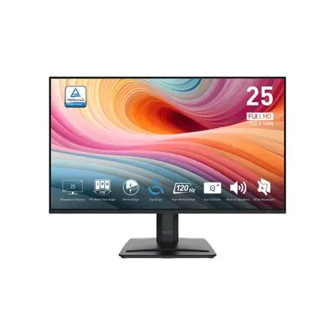 MP251 E2 MSI מסך