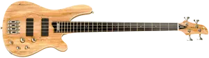 גיטרה בס בודגוב Budagov Mojo B+Bartolini
