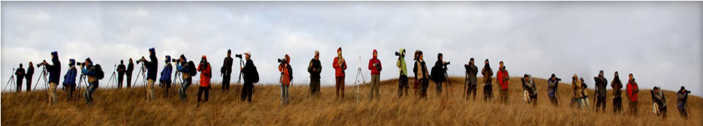 חצובות Kingjoy