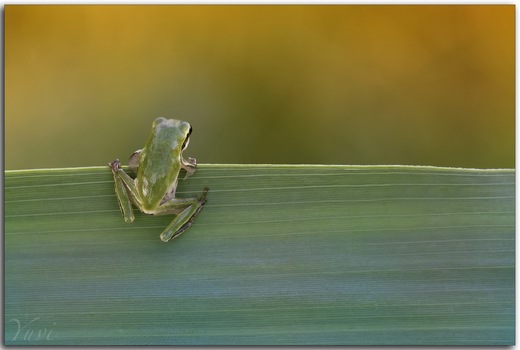 צולם ע"י יובל וקנין
