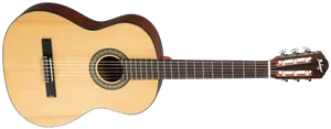 גיטרה קלאסית מוגברת Budagov FERRERA PRO-EQ 