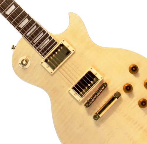 גיטרה חשמלית בודגוב Budagtov LP-Custom-NL