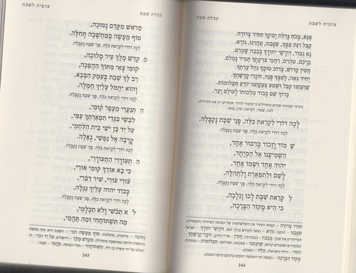 סידור רינת ישראל בינוני החדש