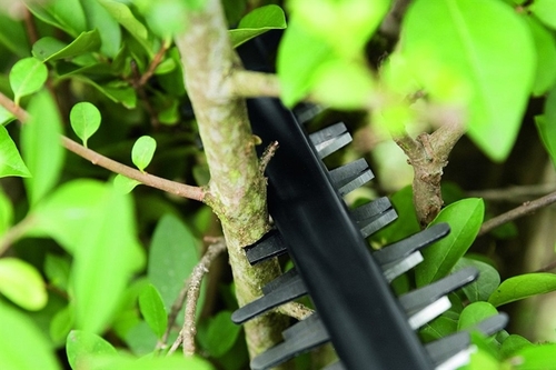 גוזם גדר חיה 18V נטען AHS 50-20 LI