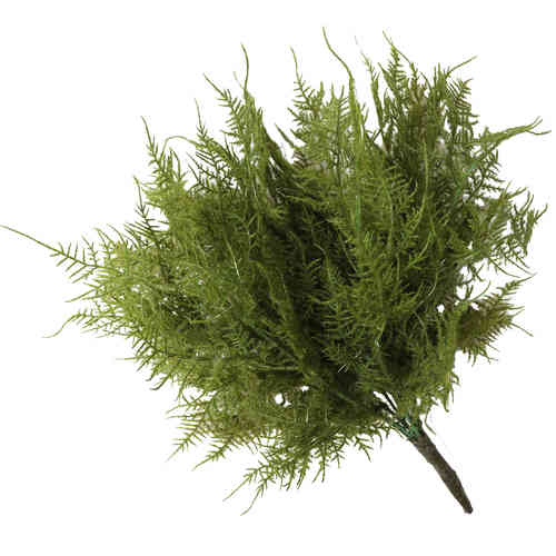 שרך ירוק מלאכותי נמוך