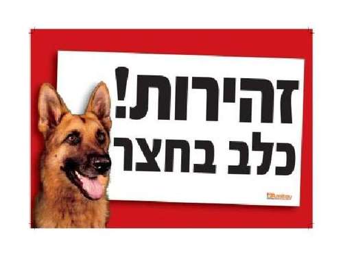 שלט ' זהירות! כלב בחצר ' בצבע אדום בולט