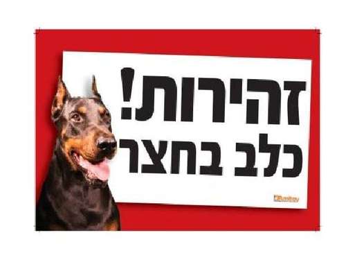 שלט ' זהירות! כלב בחצר ' בצבע אדום בולט