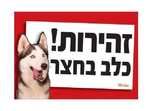 שלט ' זהירות! כלב בחצר ' בצבע אדום בולט