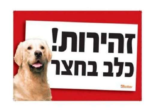שלט ' זהירות! כלב בחצר ' בצבע אדום בולט