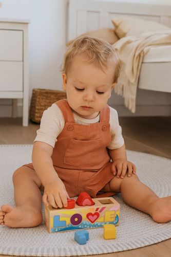 השחלת צורות לגיל שנה ומעלה 58309
