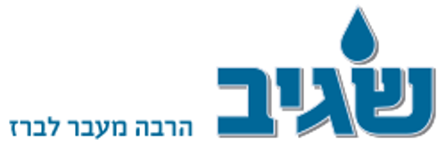 שסתום רקורד אל חוזר ''3/4 למונה מים שגיב