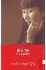 היפוכו של גורל (יד 2) - אמי טאן  זמורה ביתן