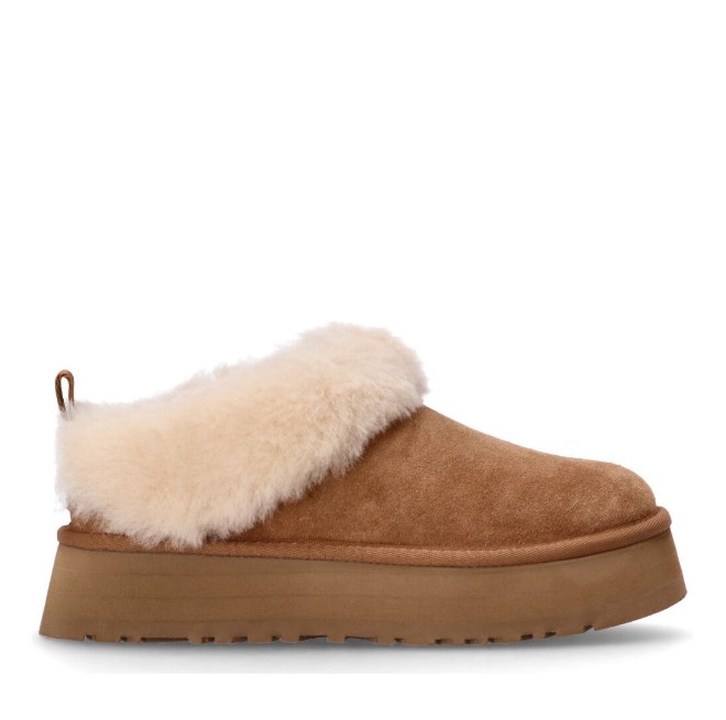 מגפי האג UGG Tazzelle | נשים