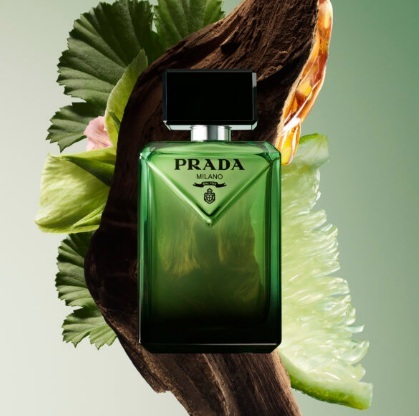 בושם לגבר Prada Paradigme EDP 100 ml