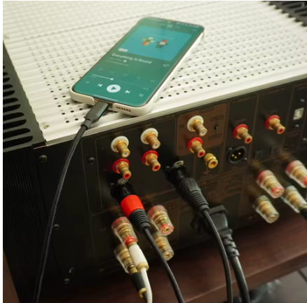 כבל 2 יציאות USB C to XLR זכר לזכר באורך 3 מטר