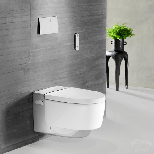 לחצן הדחה ניאגרה סמויה גבריט GEBERIT SIGMA70