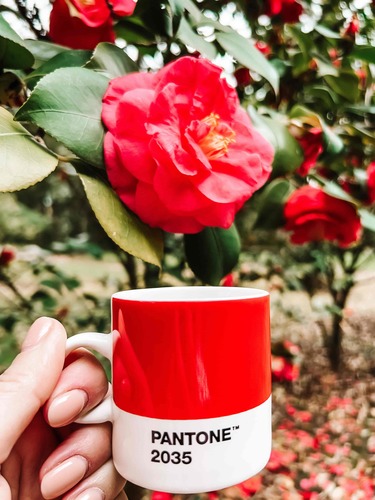 כוס אספרסו PANTONE - אדום