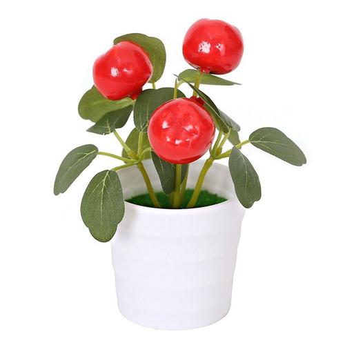 עציץ תפוחים בכלי לבן 15 ס