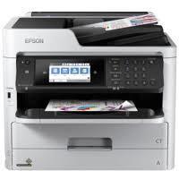 דיו למדפסת Epson WorkForce C579R